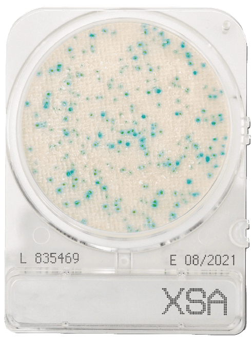 COMPACT DRY (X-SA) STAPH. AUREUS (4UD. PAQ)